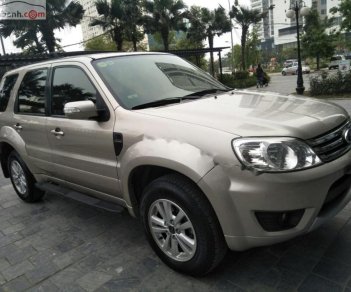 Ford Escape 2010 - Bán Ford Escape năm 2010, màu vàng, cực kì giữ gìn và bảo dưỡng thường xuyên nên xe còn mới