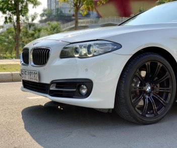 BMW 5 Series 520i 2015 - Cần bán xe BMW 5 Series 520i đời 2015, màu trắng, nhập khẩu