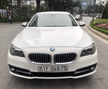 BMW 5 Series  520i 2014 - Bán BMW 5 Series 520i 2014, màu trắng