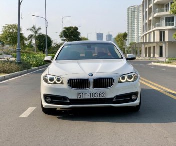 BMW 5 Series 520i 2015 - Cần bán xe BMW 5 Series 520i đời 2015, màu trắng, nhập khẩu