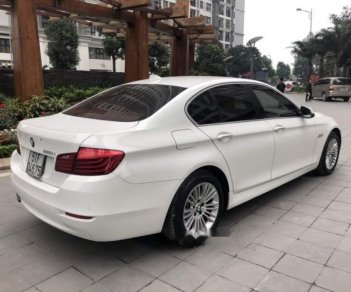 BMW 5 Series  520i 2014 - Bán BMW 5 Series 520i 2014, màu trắng