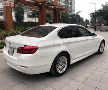 BMW 5 Series 520 2015 - Bán BMW 5 Series 520 đời 2015, màu trắng, xe nhập như mới