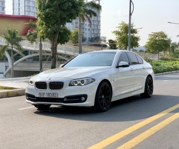 BMW 5 Series 520i 2015 - Cần bán xe BMW 5 Series 520i đời 2015, màu trắng, nhập khẩu