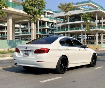 BMW 5 Series 520i 2015 - Cần bán xe BMW 5 Series 520i đời 2015, màu trắng, nhập khẩu