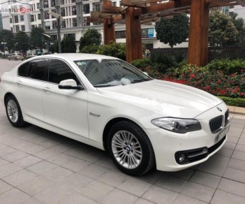 BMW 5 Series 520 2015 - Bán BMW 5 Series 520 đời 2015, màu trắng, xe nhập như mới