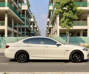BMW 5 Series 520i 2015 - Cần bán xe BMW 5 Series 520i đời 2015, màu trắng, nhập khẩu