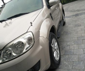 Ford Escape Dhb 2010 - Bán Ford Escape DHB đời 2010, màu đen giá cạnh tranh