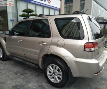 Ford Escape Dhb 2010 - Bán Ford Escape DHB đời 2010, màu đen giá cạnh tranh