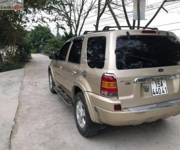 Ford Escape 3.0 V6 2002 - Bán ô tô Ford Escape 3.0 V6 đời 2002, màu vàng