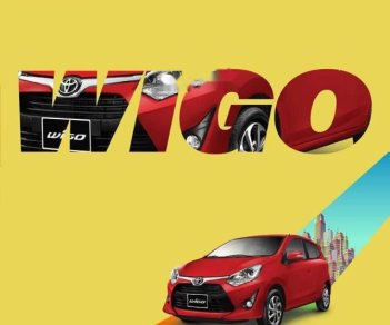 Toyota Wigo    G 1.2MT 2019 - Cần bán xe Toyota Wigo G 1.2MT năm 2019, mới 100%