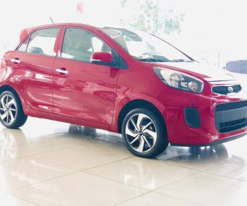 Kia Morning 1.25 EX 2019 - Kia Morning 2019 từ 290tr, ưu đãi lớn tại Hà Giang