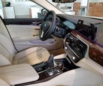 BMW 5 Series 2018 - Bán ô tô BMW 5 Series đời 2019, màu trắng, nhập khẩu nguyên chiếc