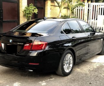 BMW 5 Series 520i 2013 - Cần bán lại xe BMW 520i Series, đăng ký lần đầu 2014, màu đen nhập khẩu nguyên chiếc
