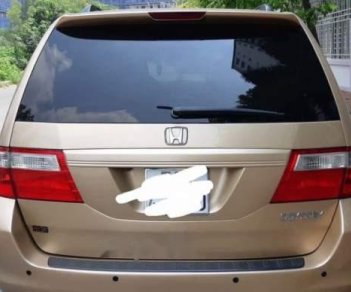 Honda Odyssey   2005 - Cần bán gấp Honda Odyssey đời 2005, màu vàng, nhập khẩu, xe đẹp