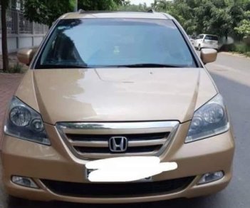 Honda Odyssey   2005 - Cần bán gấp Honda Odyssey đời 2005, màu vàng, nhập khẩu, xe đẹp