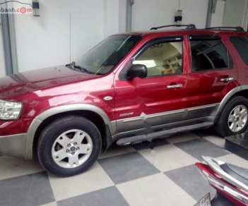 Ford Escape 2005 - Bán Ford Escape sản xuất năm 2005, màu đỏ, giá tốt