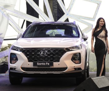 Hyundai Santa Fe Prenium 2019 - Giao ngay Hyundai Santa Fe Prenium 2019, màu trắng