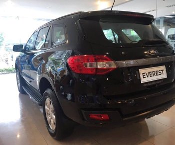 Ford Everest Ambiente 2.0 4x2 MT 2019 - Bán Ford Everest năm sản xuất 2019, nhập khẩu nguyên chiếc, 930 triệu