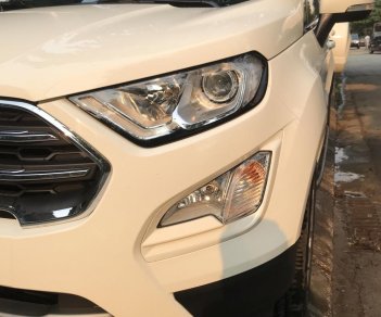 Ford EcoSport 1.0 Ecoboost 2018 - Bán Ford EcoSport 1.0 Ecoboost SX 2018, Odo 1,3 vạn, siêu lướt