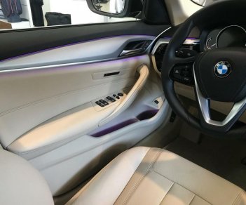BMW 5 Series 520i G30 2018 - BMW 520i Sedan G30 All New 2019
