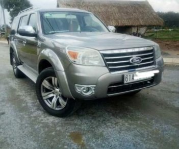 Ford Everest AT 2010 - Bán Ford Everest AT năm 2010, màu bạc, số tự động