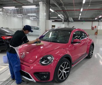 Volkswagen Beetle 2019 - Bán Volkswagen Beetle đời 2019, màu hồng, nhập khẩu