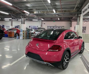 Volkswagen Beetle 2019 - Cần bán xe Volkswagen Beetle đời 2019, màu hồng, nhập khẩu