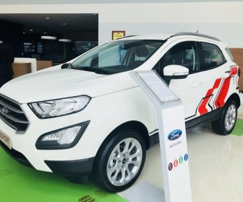 Ford EcoSport Trend 2019 - Bán xe Ford EcoSport Trend năm sản xuất 2019, màu trắng