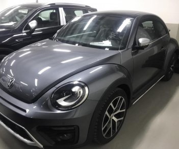 Volkswagen New Beetle 2019 - Bán Volkswagen New Beetle cao cấp đời 2019, màu xám (ghi), xe nhập
