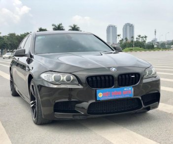 BMW 5 Series 528i 2012 - BMW 528i màu độc series 2012