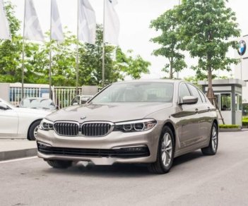 BMW 5 Series    520i 2019 - Bán BMW 520i 2019 nhập khẩu nguyên chiếc tại Đức, mới 100%, giá tốt, nhiều ưu đãi, quà tặng hấp dẫn
