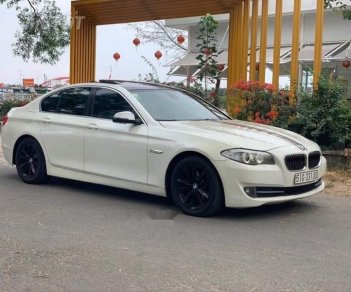 BMW 5 Series 523i 2010 - Bán BMW 5 Series 523i đời 2010, màu trắng, nhập khẩu