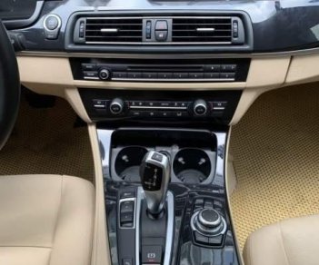 BMW 5 Series 520i 2016 - Cần bán gấp BMW 5 Series 520i sản xuất năm 2016, màu nâu