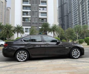 BMW 5 Series 520i 2016 - Cần bán gấp BMW 5 Series 520i sản xuất năm 2016, màu nâu