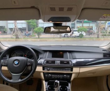 BMW 5 Series 520i 2016 - Cần bán gấp BMW 5 Series 520i sản xuất năm 2016, màu nâu