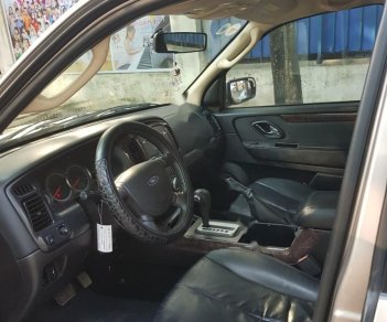 Ford Escape XLT 2009 - Bán Ford Escape XLT năm sản xuất 2009, màu bạc, nhập khẩu 