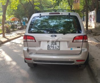 Ford Escape XLT 2009 - Bán Ford Escape XLT năm sản xuất 2009, màu bạc, nhập khẩu 