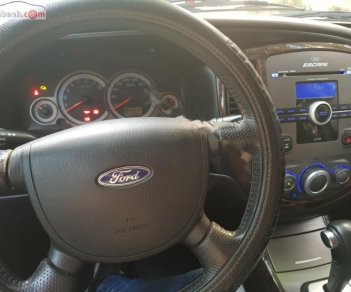 Ford Escape XLT 2009 - Bán Ford Escape XLT năm sản xuất 2009, màu bạc, nhập khẩu 