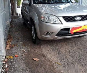 Ford Escape 2013 - Bán Ford Escape 2013, màu bạc, nhập khẩu số tự động, giá 427tr