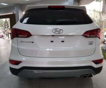 Hyundai Santa Fe 2019 - Bán Hyundai Santa Fe đời 2019, màu trắng, nhập khẩu nguyên chiếc