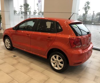 Volkswagen Polo 1.6 AT  2019 - Bán Volkswagen Polo đời 2019, xe nhập