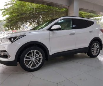 Hyundai Santa Fe 2019 - Bán Hyundai Santa Fe đời 2019, màu trắng, nhập khẩu nguyên chiếc