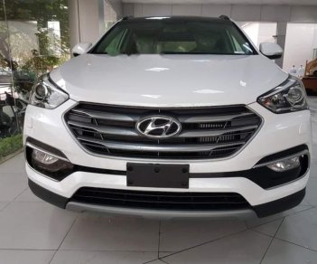 Hyundai Santa Fe 2019 - Bán Hyundai Santa Fe đời 2019, màu trắng, nhập khẩu nguyên chiếc