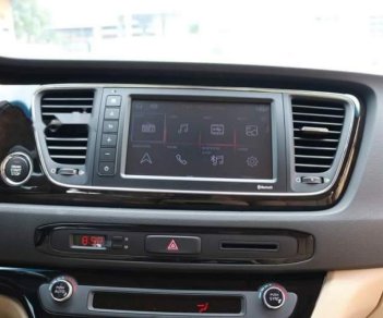 Kia Sedona Platinum D 2019 - Bán xe Kia Sedona sản xuất năm 2019, màu nâu