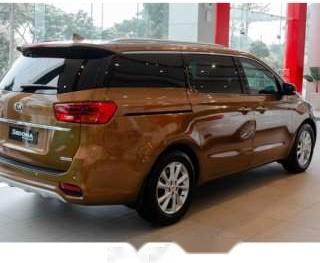 Kia Sedona Platinum D 2019 - Bán xe Kia Sedona sản xuất năm 2019, màu nâu