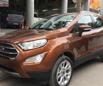 Ford EcoSport 2019 - Bán Ford EcoSport năm 2019, nhập khẩu nguyên chiếc, 689tr