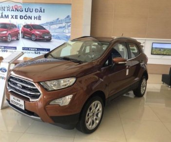 Ford EcoSport Titanium 1.5L AT 2019 - Bán ô tô Ford EcoSport Titanium 1.5L AT sản xuất năm 2019, màu nâu, 650tr