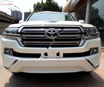 Toyota Land Cruiser VX 4.6 V8 2019 - Bán Toyota Land Cruiser VX 4.6 V8 năm 2019, màu trắng, nhập khẩu