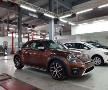 Volkswagen Beetle Dune 2019 - Cần bán Volkswagen Beetle Dune đời 2019, nhập khẩu