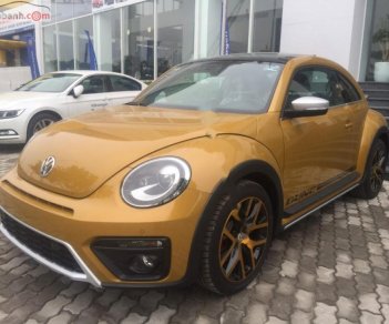 Volkswagen Beetle Dune 2018 - Bán ô tô Volkswagen Beetle Dune đời 2018, màu vàng, nhập khẩu